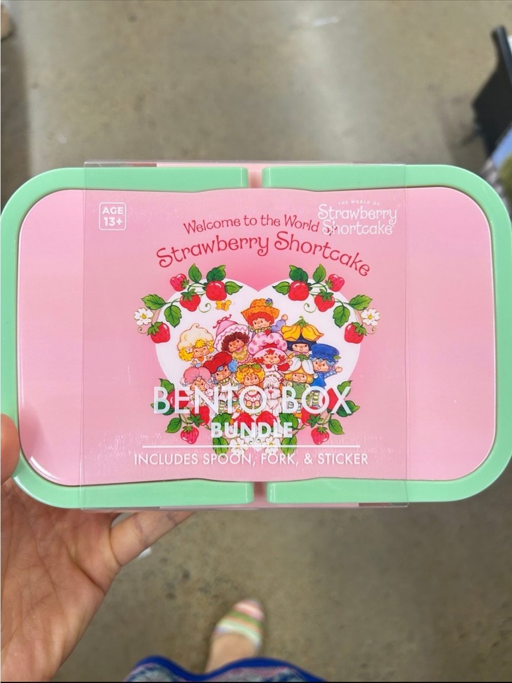 Strawberry Shortcake Pink & Mint Bento Box Bundle